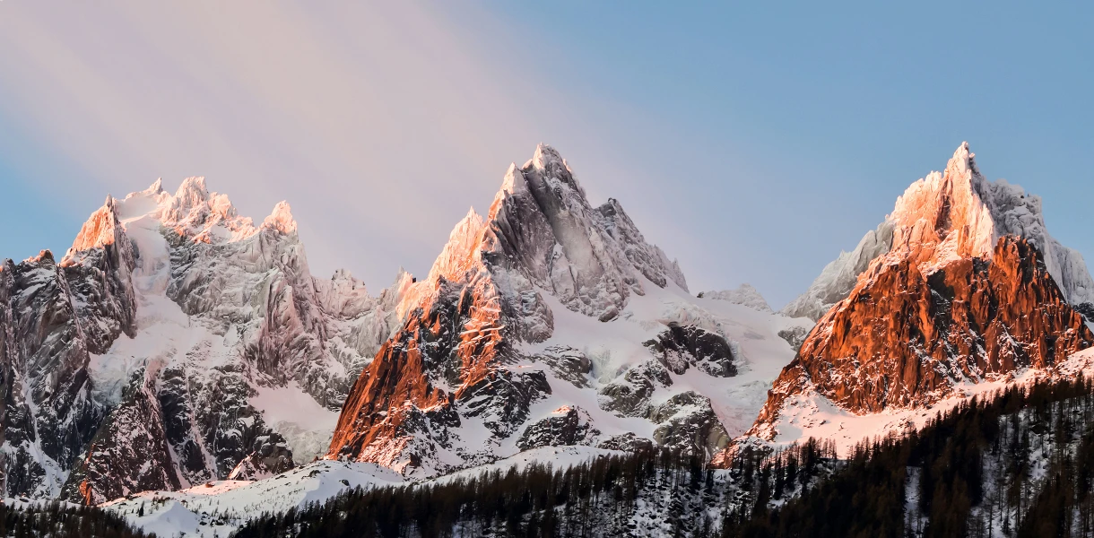 Alplerde otlatmanın yeniden başlatılması daha dirençli ekosistemler sağlayabilir