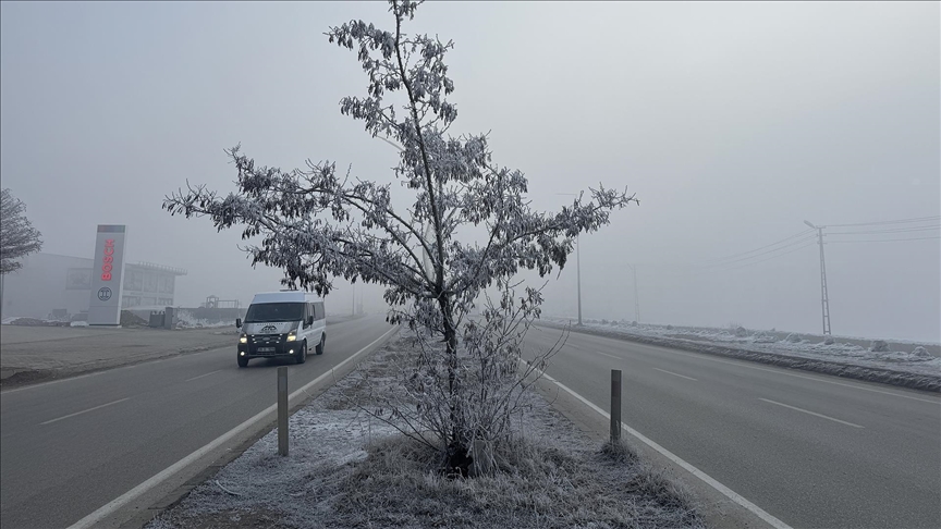 Hakkari'de soğuk hava ve sis etkili oldu