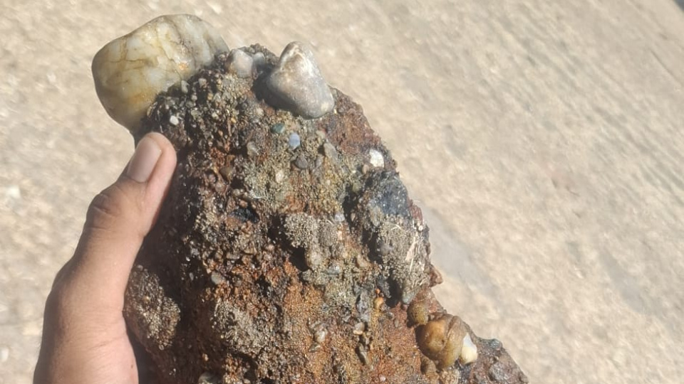 Çanakkale'de Sahilde Bulunan Askeri Mühimmat Güvenlik Ekiplerini Harekete Geçirdi