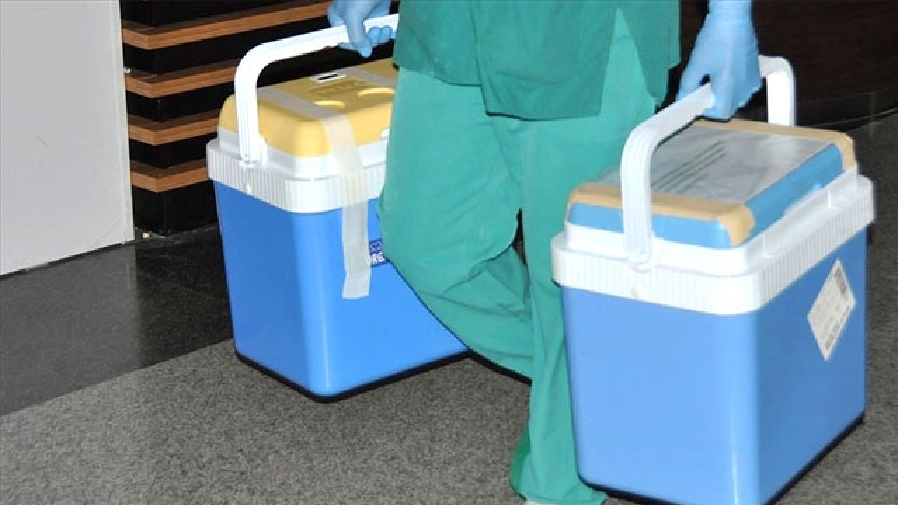 Giresun'da Organ Bağışıyla 4 Hastaya Yeni Yaşam Umudu