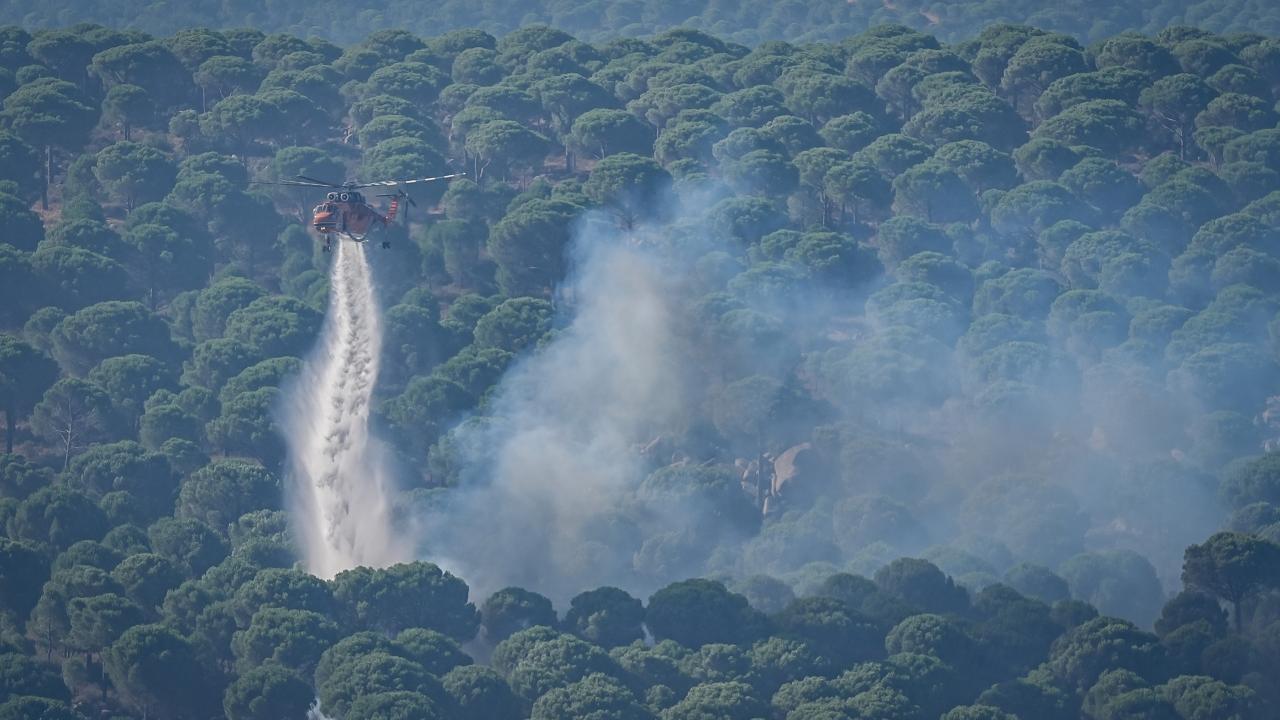 İletişim Başkanlığından Orman Yangınlarıyla İlgili Son Açıklama