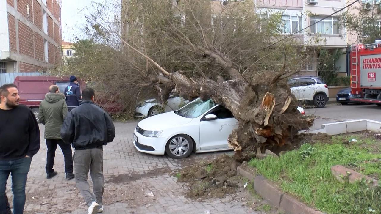 İstanbul'da şiddetli fırtına etkili oldu: Çatılar uçtu, ağaçlar devrildi