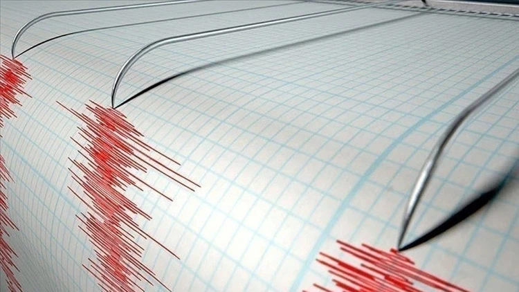 Japonya'nın Güneyinde 7,1 Büyüklüğünde Deprem