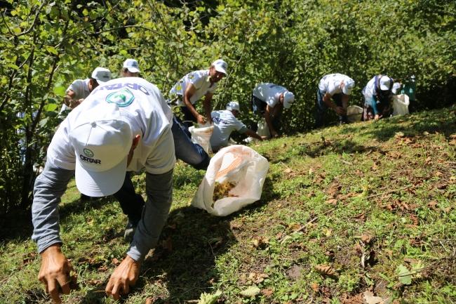 Fındıkta maliyet alarmı: Ordu’da üretim gideri 4 dolara ulaştı