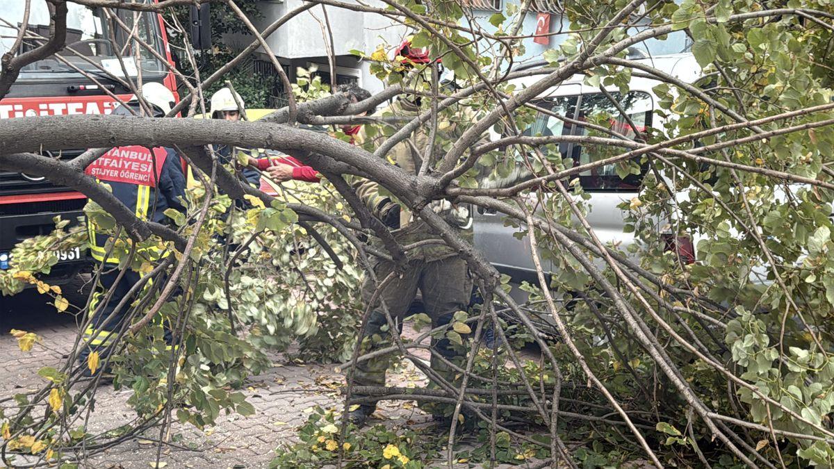 Sağanak ve fırtına vurdu: Minare yıkıldı, ağaçlar devrildi, çatılar uçtu