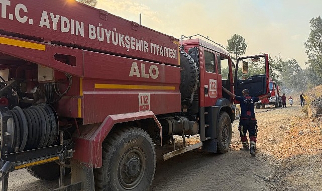 Aydın Büyükşehir Belediyesi Kuyucak'ta yangına müdahale ediyor