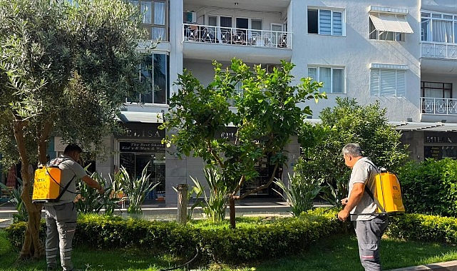  Büyükşehir'den Kemer Liman Caddesi'nde bakım onarım çalışması