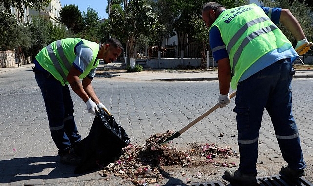Didim Belediyesi'nden Mazgal Temizliği
