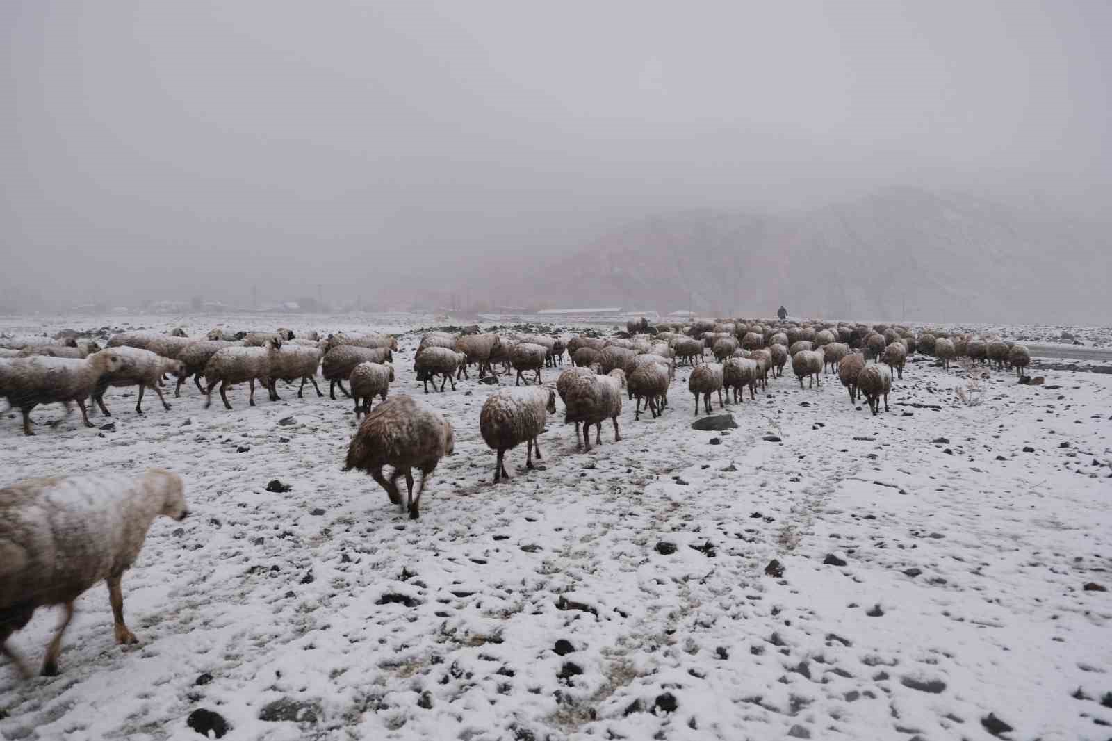 Erzincan yaylalarından köylere uzanan zorlu kış mesaisi Erzincan yaylalarından köylere uzanan zorlu kış mesaisi