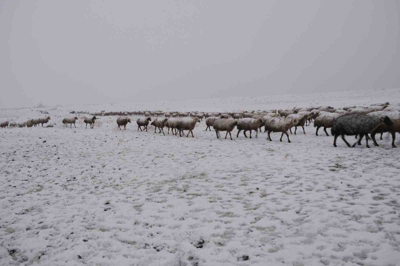 Erzincan yaylalarından köylere uzanan zorlu kış mesaisi Erzincan yaylalarından köylere uzanan zorlu kış mesaisi