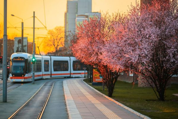 Eskişehir'de tramvaylarda yaz tarifesi başlıyor