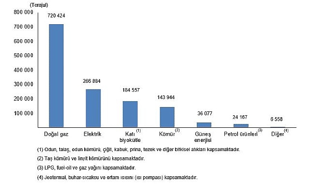 Hanehalkı Nihai Enerji Tüketim İstatistikleri, 2025