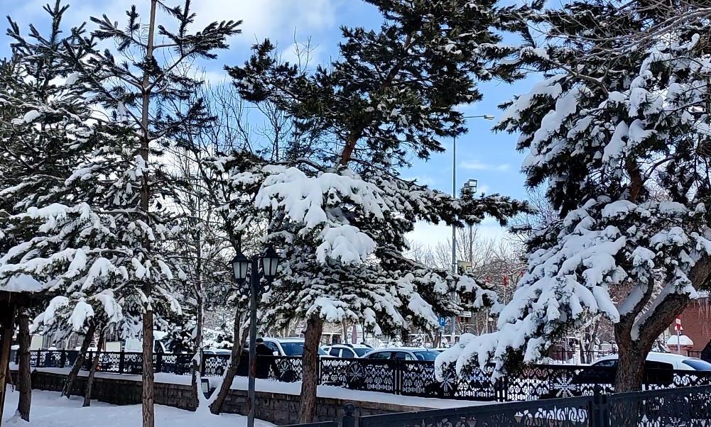 Kar yağışının ardından ağaçlarda kartpostallık görüntü