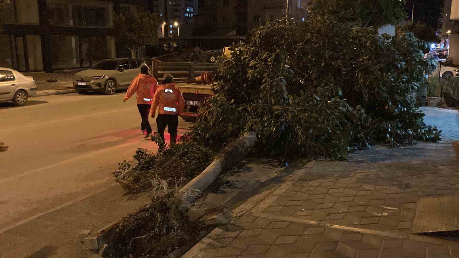 Mersin’de şiddetli rüzgar ağaçları devirdi