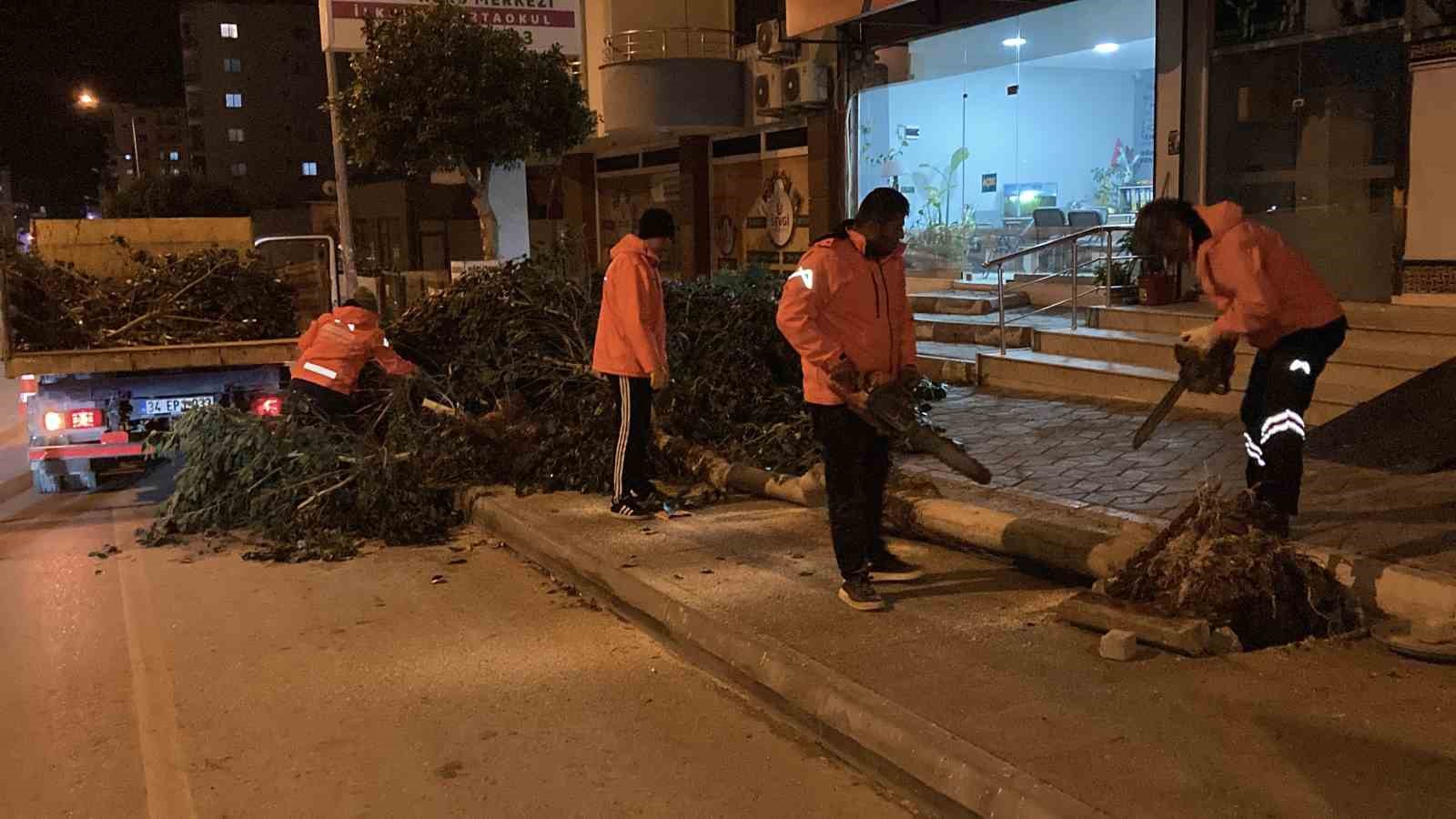 Mersin’de şiddetli rüzgar ağaçları devirdi