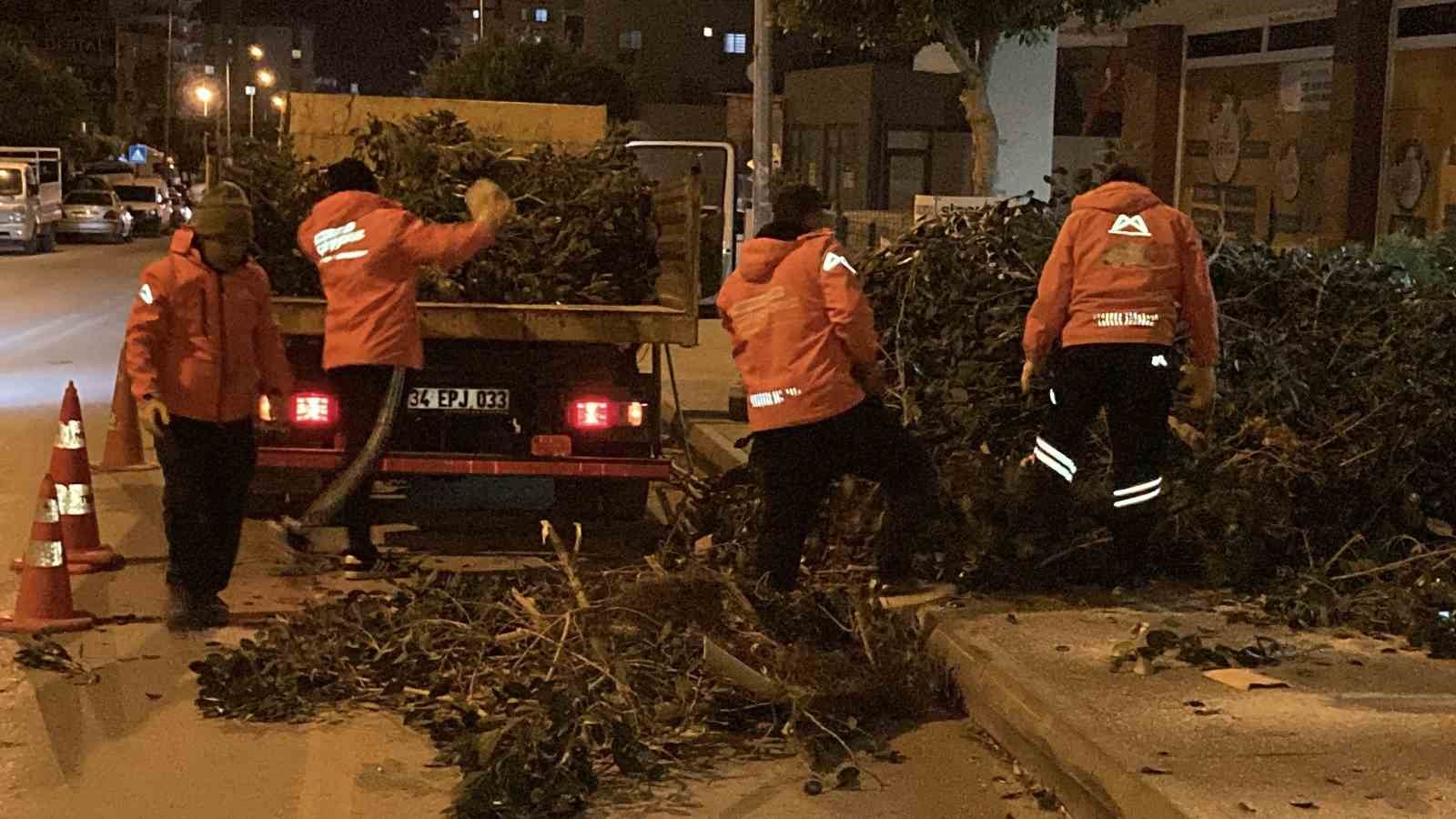 Mersin’de şiddetli rüzgar ağaçları devirdi