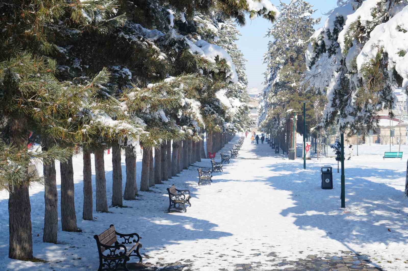 Muş’ta eksi 28 derece: Göletler dondu, çatılarda buz sarkıtları oluştu Muş’ta eksi 28 derece: Göletler dondu, çatılarda buz sarkıtları oluştu