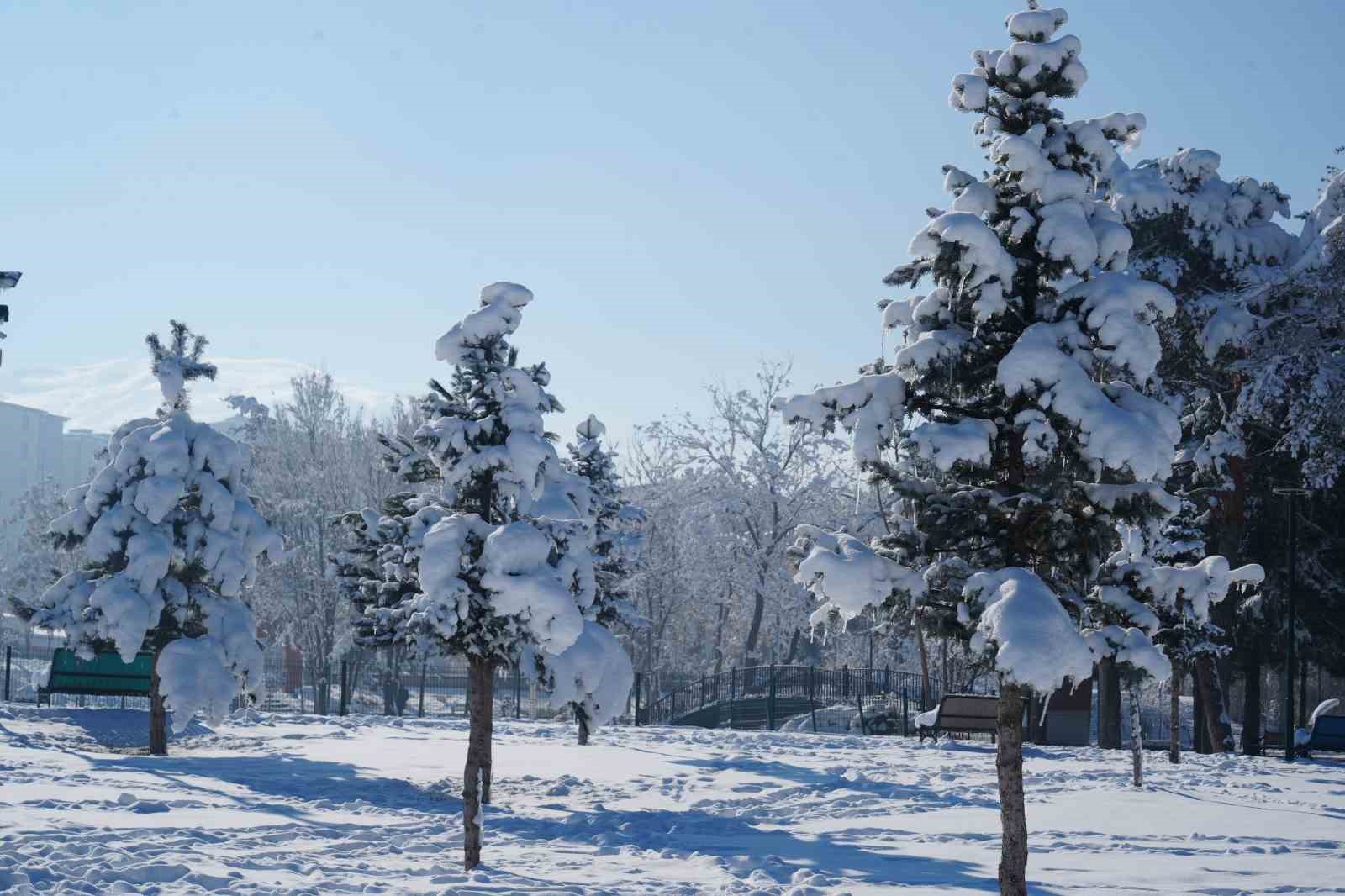 Muş’ta eksi 28 derece: Göletler dondu, çatılarda buz sarkıtları oluştu Muş’ta eksi 28 derece: Göletler dondu, çatılarda buz sarkıtları oluştu
