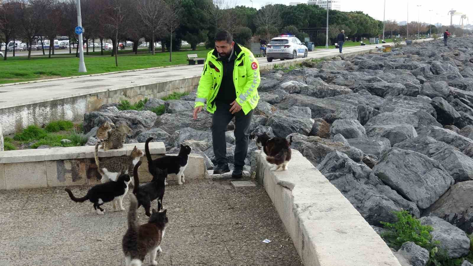 Pendik’te vicdanları sızlatan olay: Kediye tekme atıp denize fırlattı