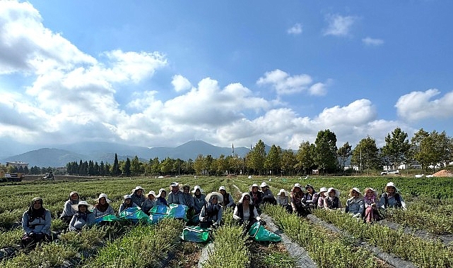 TABİP'te üretimden markalaşmaya uzanan hasat