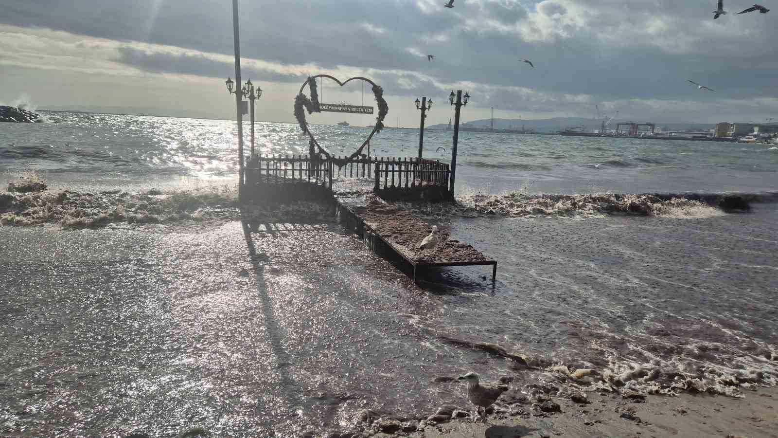 Tekirdağ’da lodos kıyıyı vurdu, kızıl yosunlar sahili kapladı