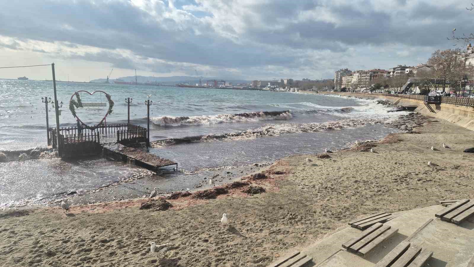 Tekirdağ’da lodos kıyıyı vurdu, kızıl yosunlar sahili kapladı