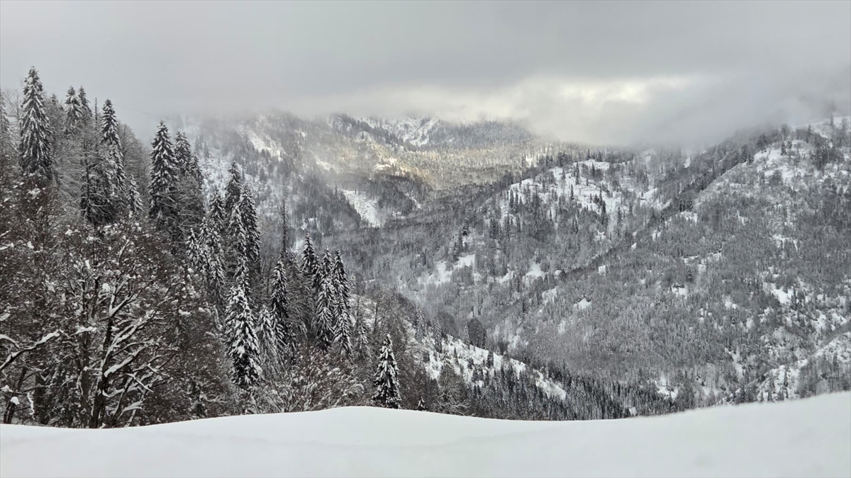 Türkiye’nin biyosfer rezervi alanı Camili Havzası beyaz örtü ile kaplandı