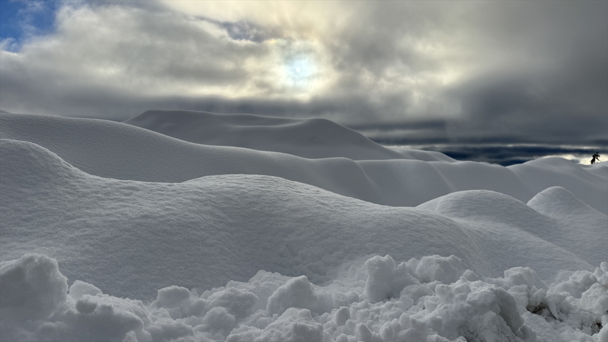 Türkiye’nin biyosfer rezervi alanı Camili Havzası beyaz örtü ile kaplandı