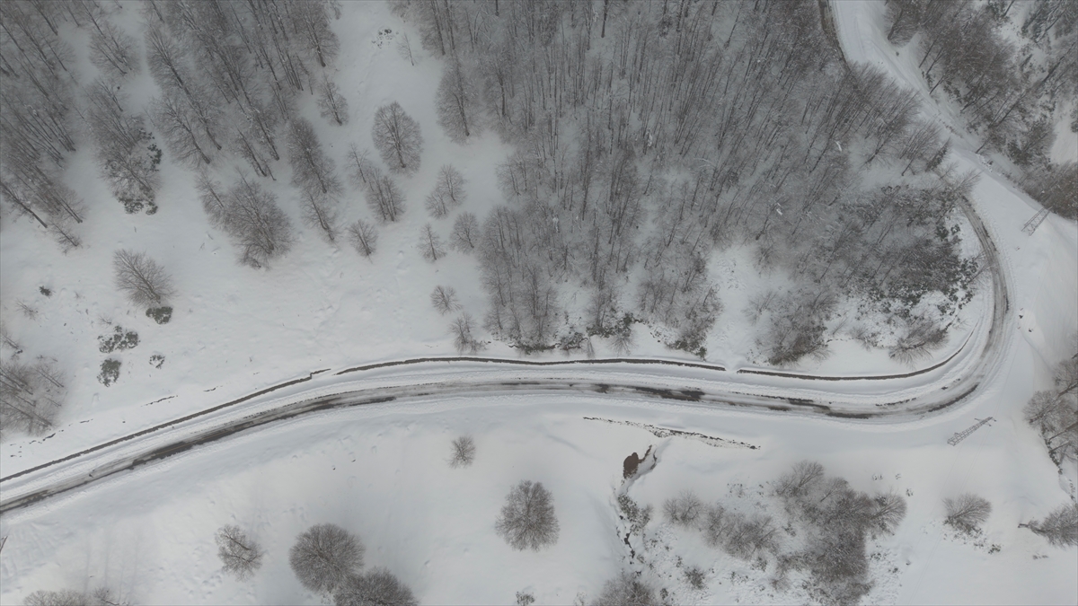 Türkiye’nin biyosfer rezervi alanı Camili Havzası beyaz örtü ile kaplandı