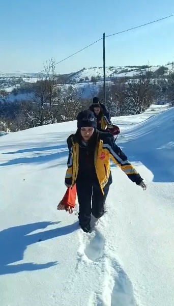 1 kilometrelik yolu yürüyerek hastaya ulaştılar
