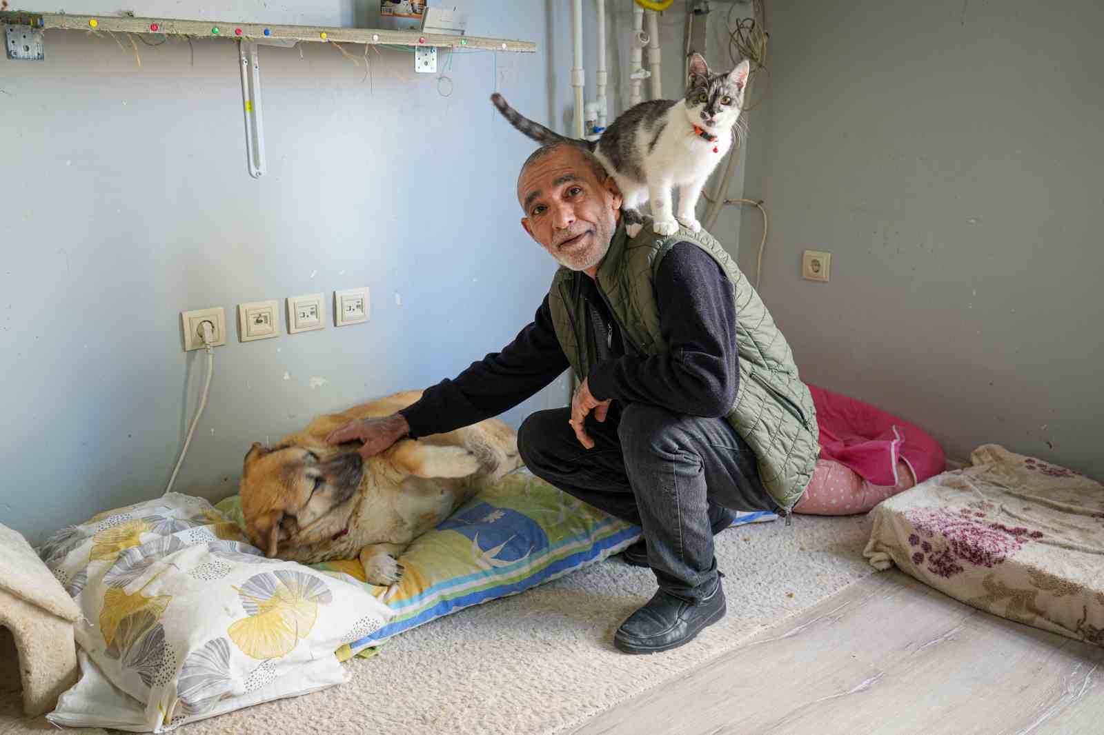 13 yaşındaki obez köpek ’Kız’, yürüyüş yaparak zayıflıyor
