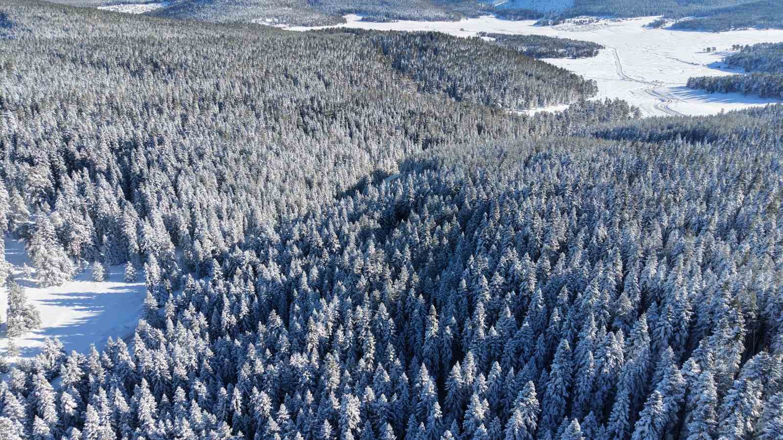 14 köyün yaylasının bir arada bulunduğu Sarıalan’da kış güzelliği
