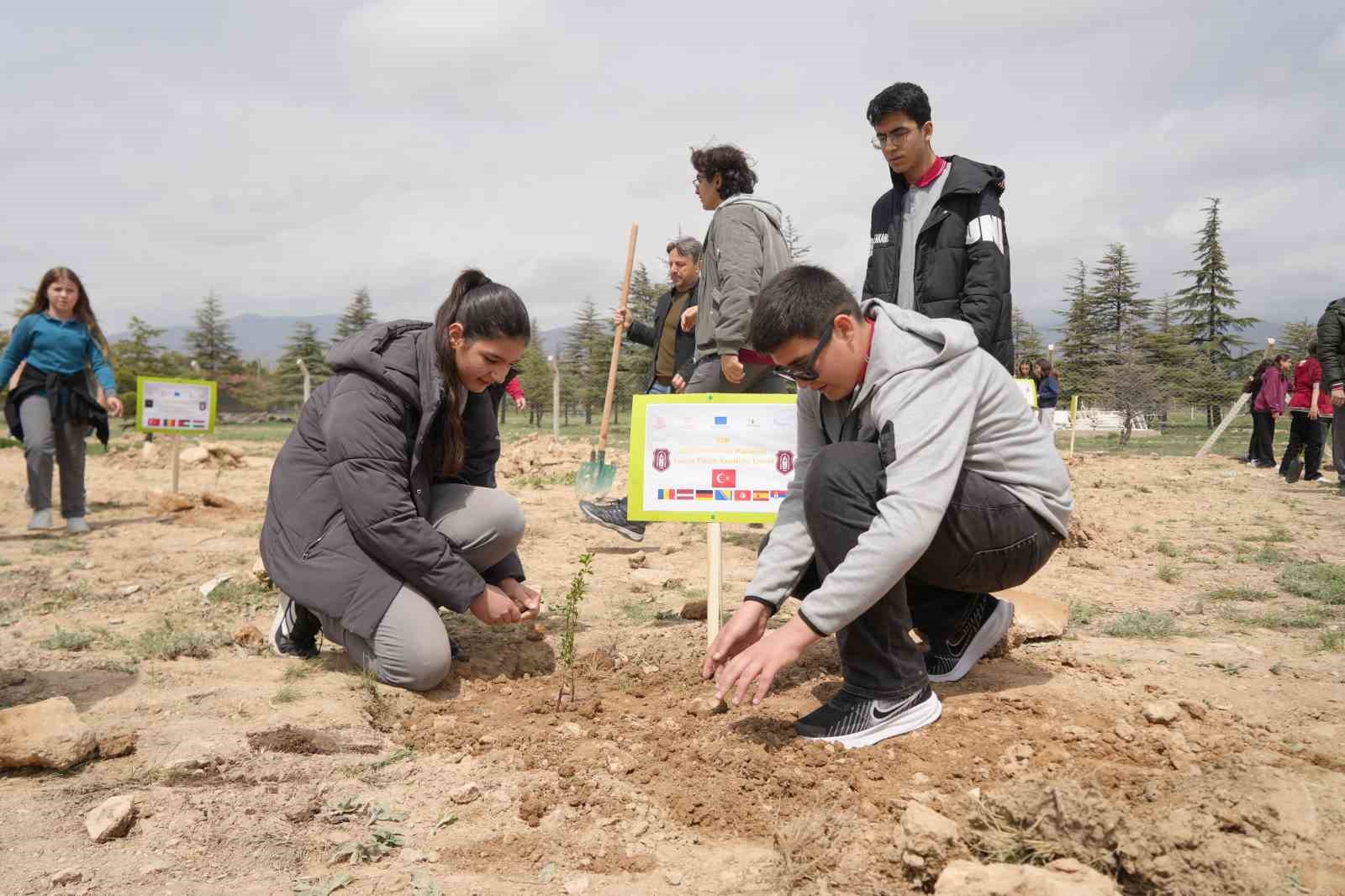 15 okuldan 230 öğrenci 115 fidanı toprakla buluşturdu
