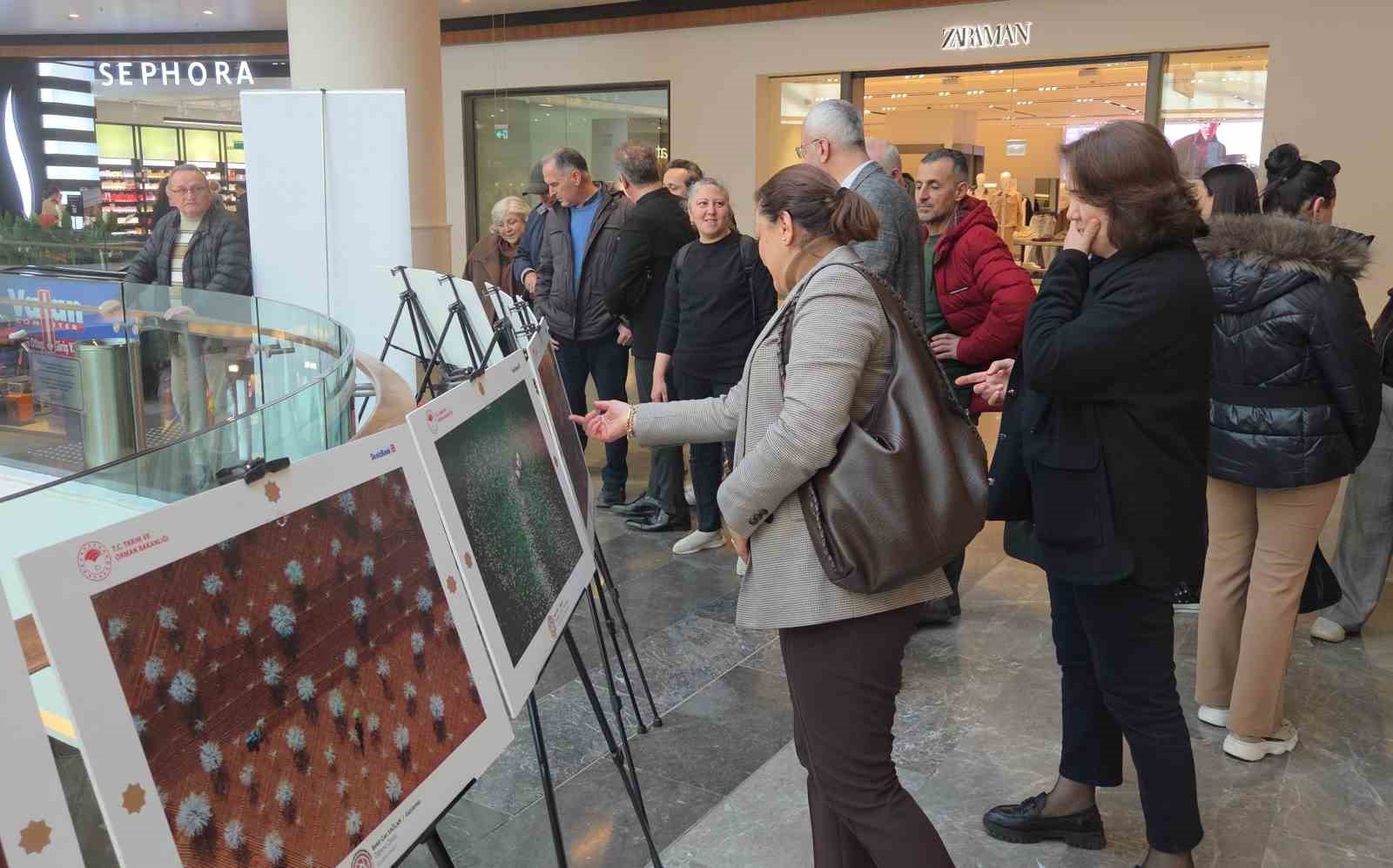 15. Uluslararası Tarım, Orman ve İnsan Fotoğraf Sergisi Samsun’da açıldı
