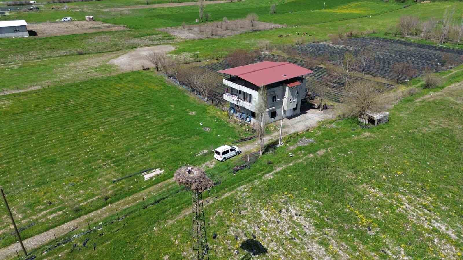 15 yıllık ’komşu’: Leylek ’Ciran’ ailenin maskotu oldu
15 yıllık ’komşu’: Leylek ’Ciran’ ailenin maskotu oldu