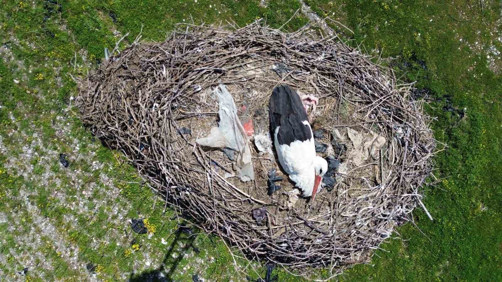 15 yıllık ’komşu’: Leylek ’Ciran’ ailenin maskotu oldu
15 yıllık ’komşu’: Leylek ’Ciran’ ailenin maskotu oldu