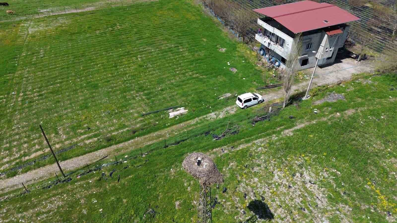 15 yıllık ’komşu’: Leylek ’Ciran’ ailenin maskotu oldu
15 yıllık ’komşu’: Leylek ’Ciran’ ailenin maskotu oldu