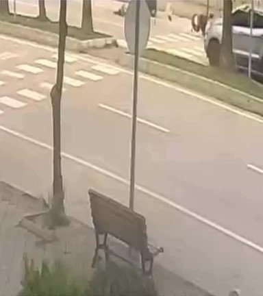 17 aylık bebeğe çarparak ölümüne neden olan sürücü ehliyetsiz çıktı
17 aylık bebeğe çarparak ölümüne neden olan sürücü ehliyetsiz çıktı