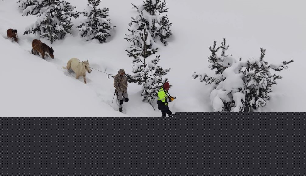 2 bin 100 rakımlı kışlada aylarca kar altında mahsur kalan atları köyün gençleri kurtardı

