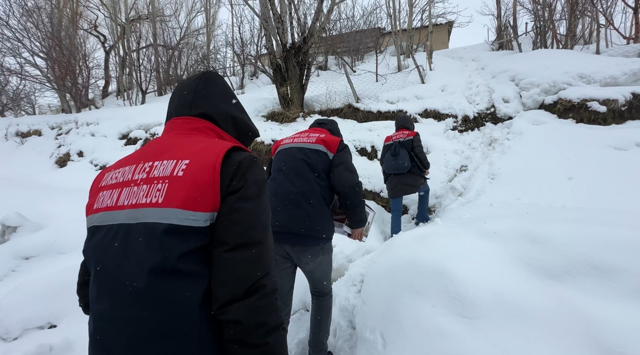 2 bin rakımda gıda seferberliği: Karlı yolları aşarak çocuklara bilgi taşıdılar
2 bin rakımda gıda seferberliği: Karlı yolları aşarak çocuklara bilgi taşıdılar
