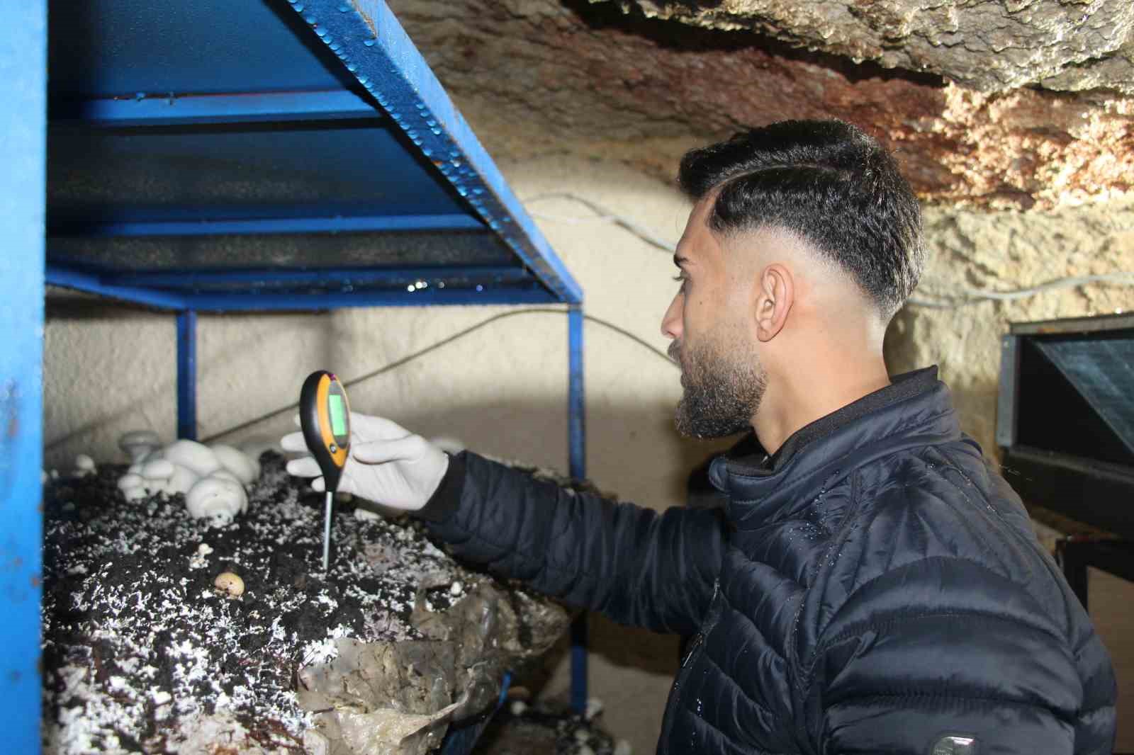 2 bin yıllık tarihi mağarada mantar üretim tesisi kurdu
