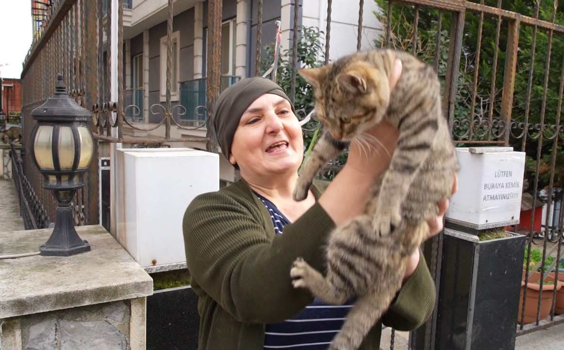 20 yıldır sokak kedilerine annelik yapıyor: "Sadece sevgi istiyorlar"
