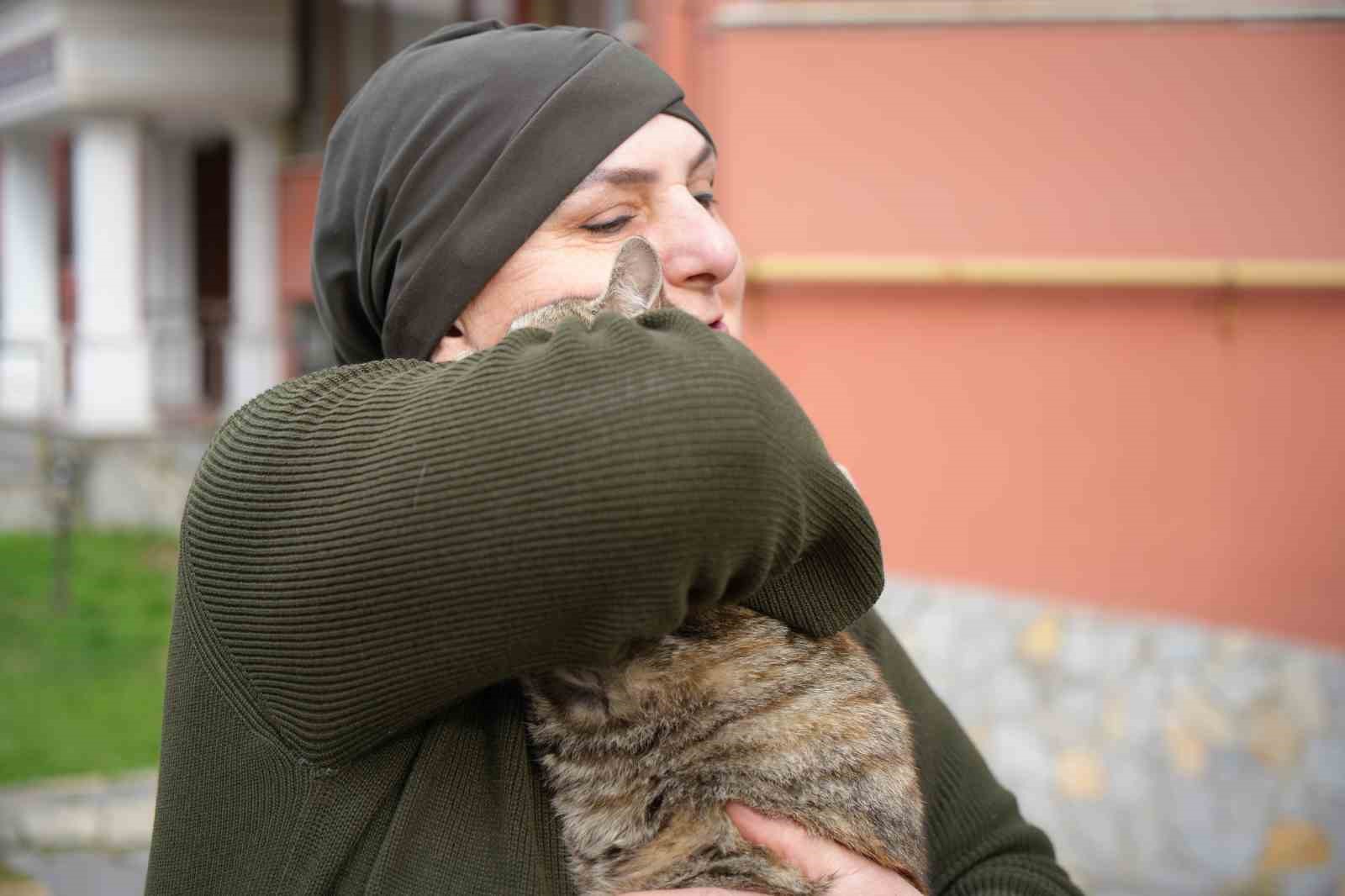 20 yıldır sokak kedilerine annelik yapıyor: "Sadece sevgi istiyorlar"
