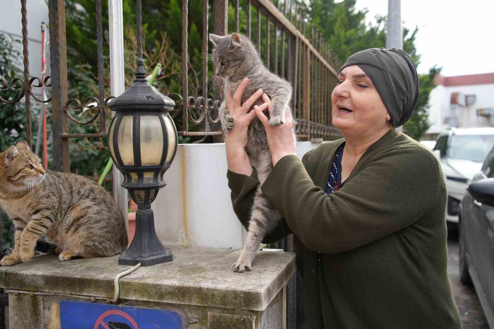 20 yıldır sokak kedilerine annelik yapıyor: "Sadece sevgi istiyorlar"
