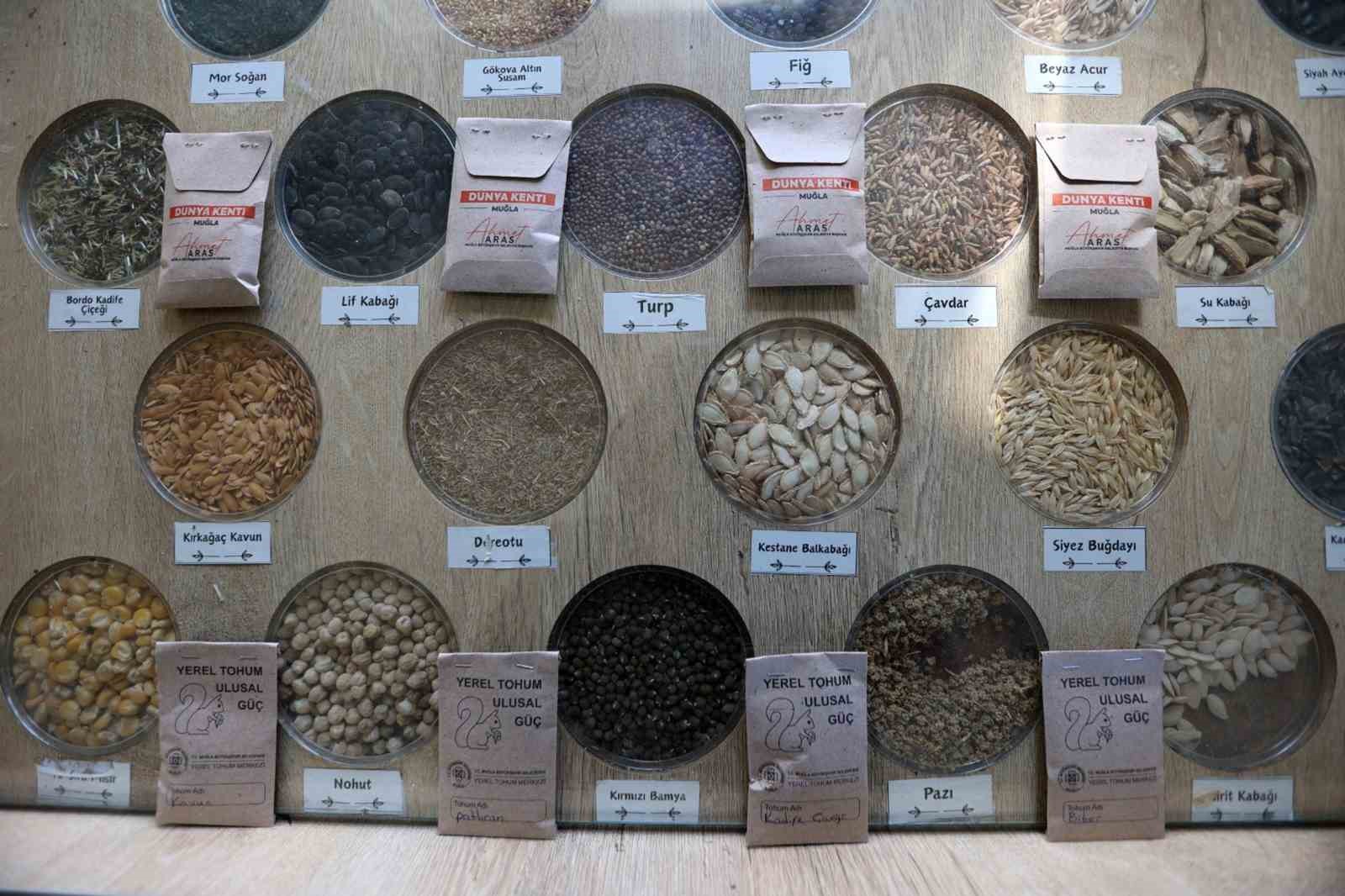 3 milyon yerel tohum dağıtıldı
