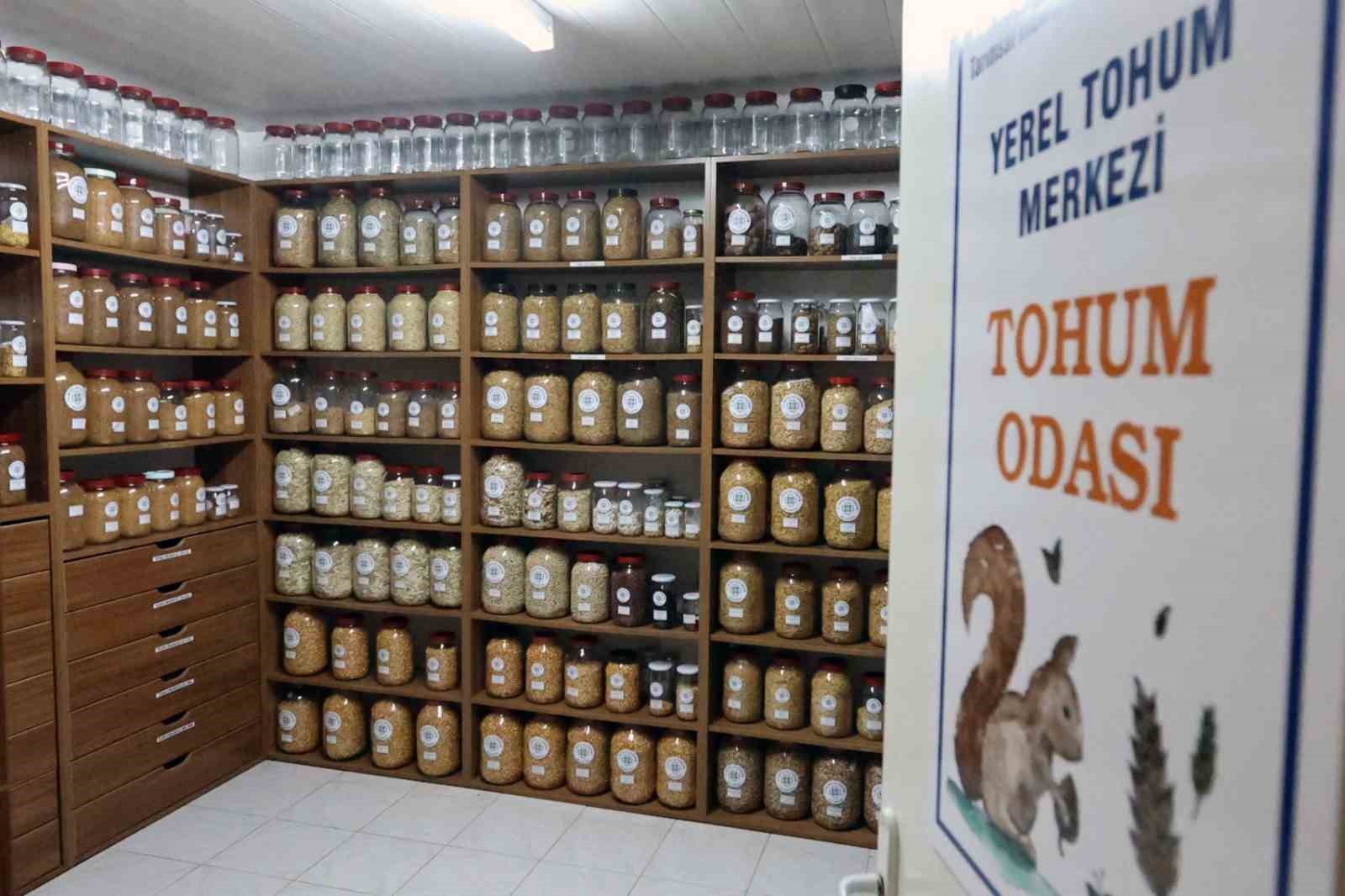 3 milyon yerel tohum dağıtıldı
