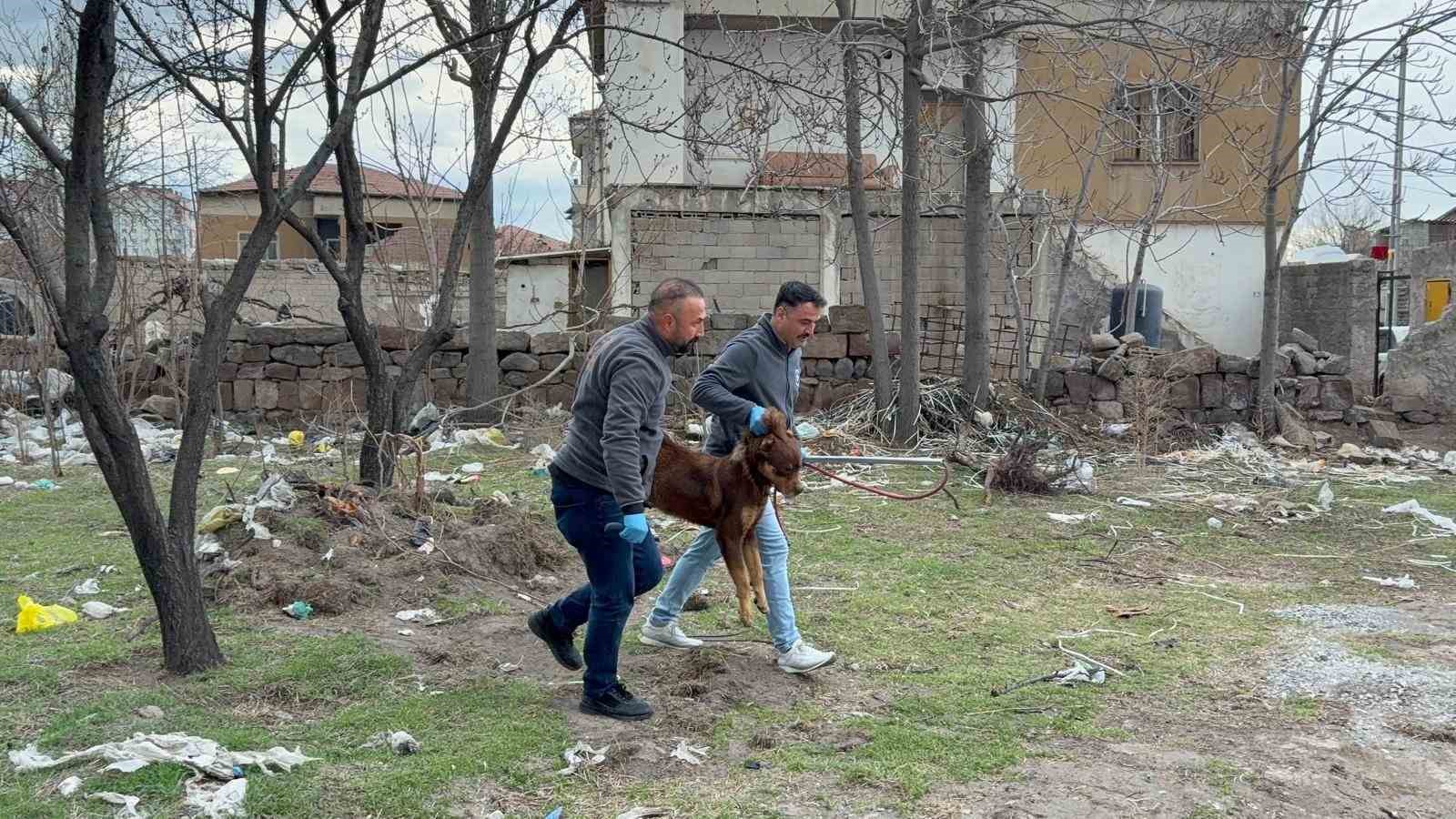 3 yaşındaki çocuğuna köpek saldıran baba: "Köpeğin çocuğumuzu bırakması için çok uğraştık"
