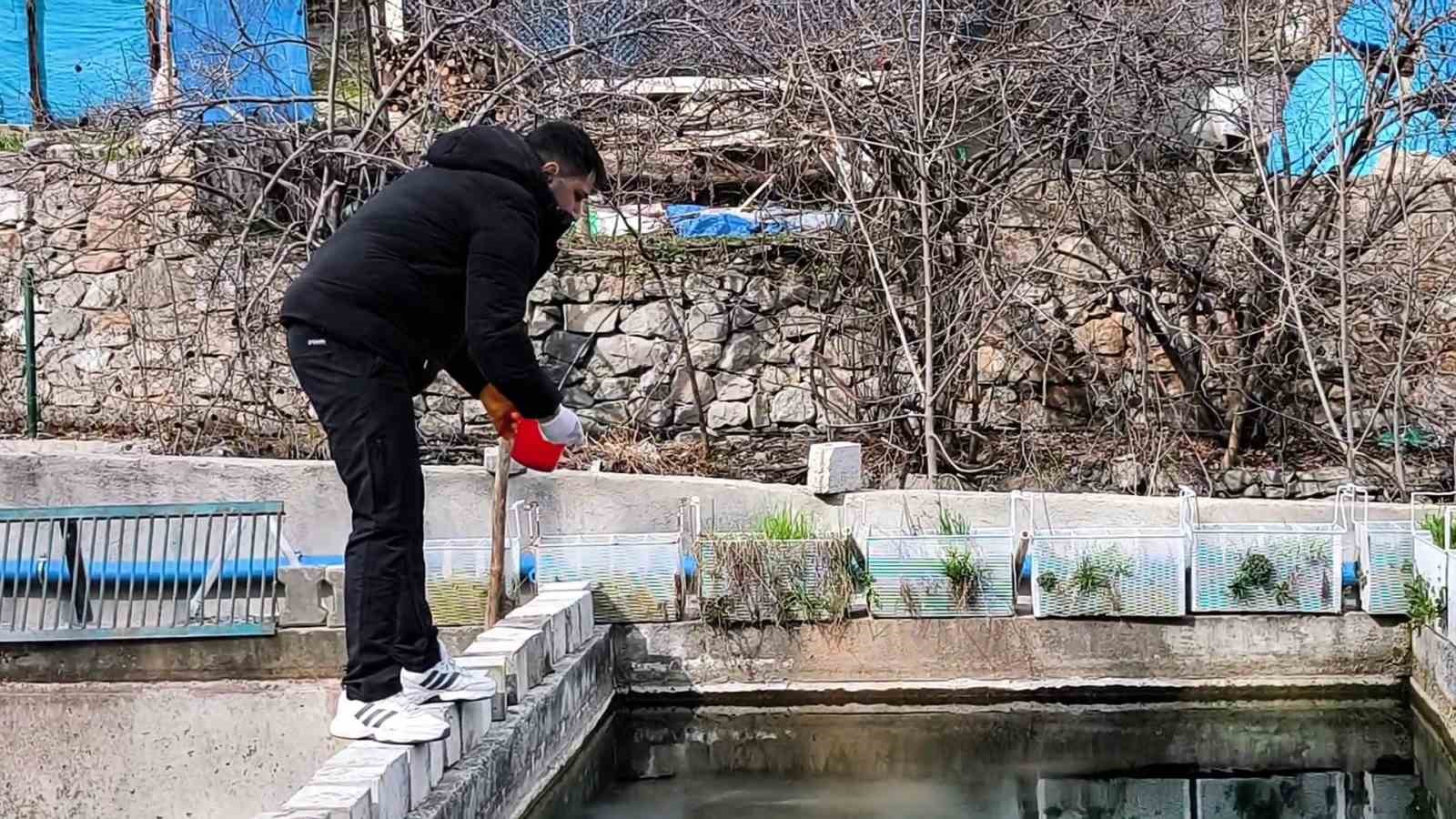 300 bin balık telef oldu; Genç girişimci ayakta kalma mücadelesi veriyor
