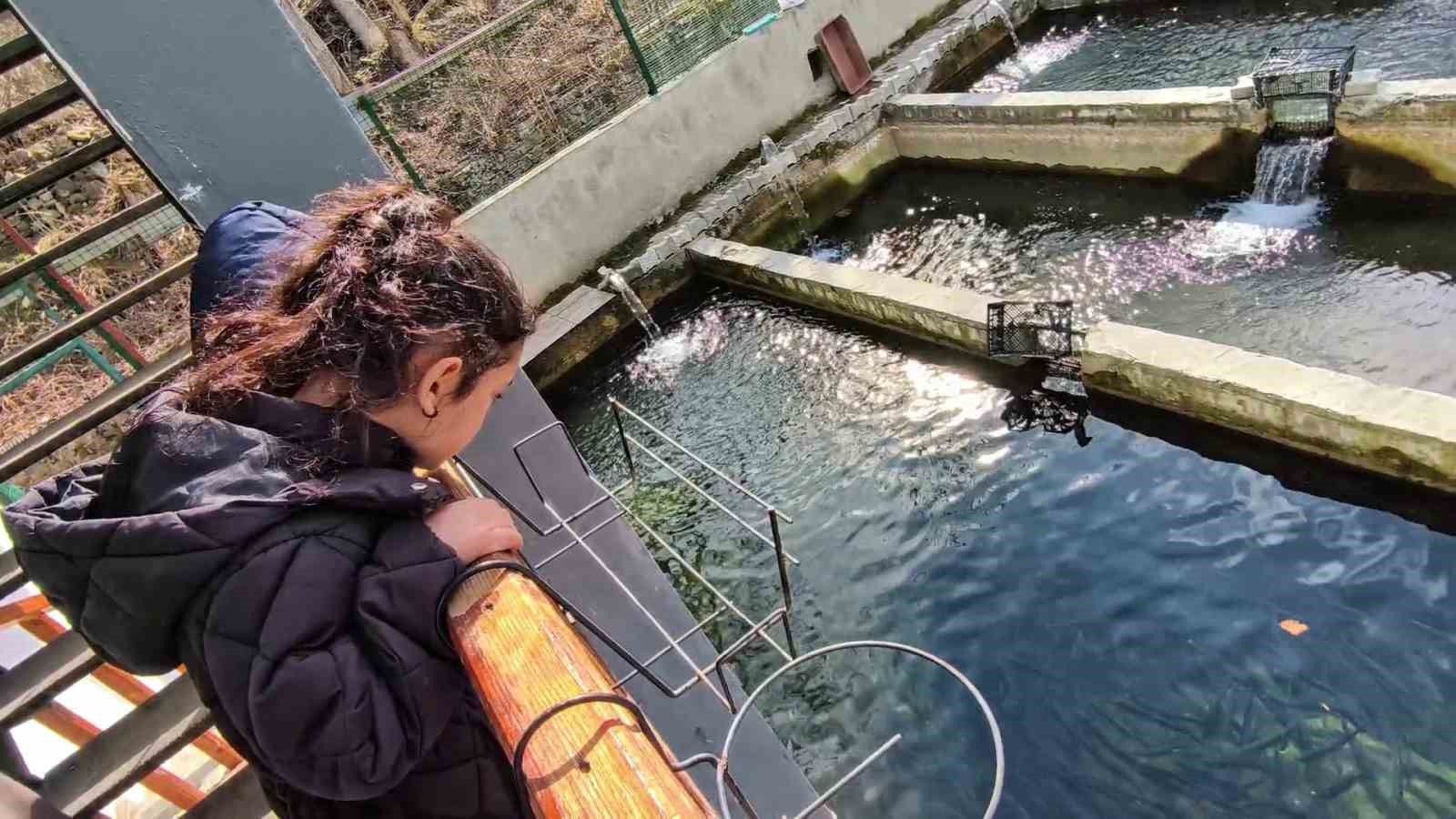 300 bin balık telef oldu; Genç girişimci ayakta kalma mücadelesi veriyor
