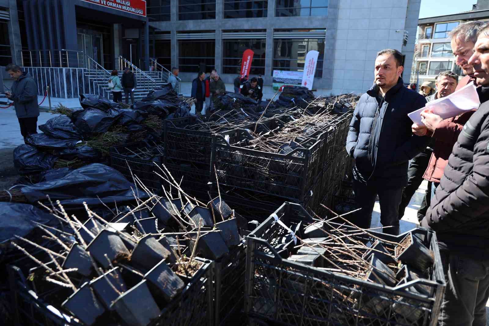 50 bin adet üzümsü fidan dağıtıldı
